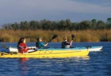 Kayaking in South Carolina
